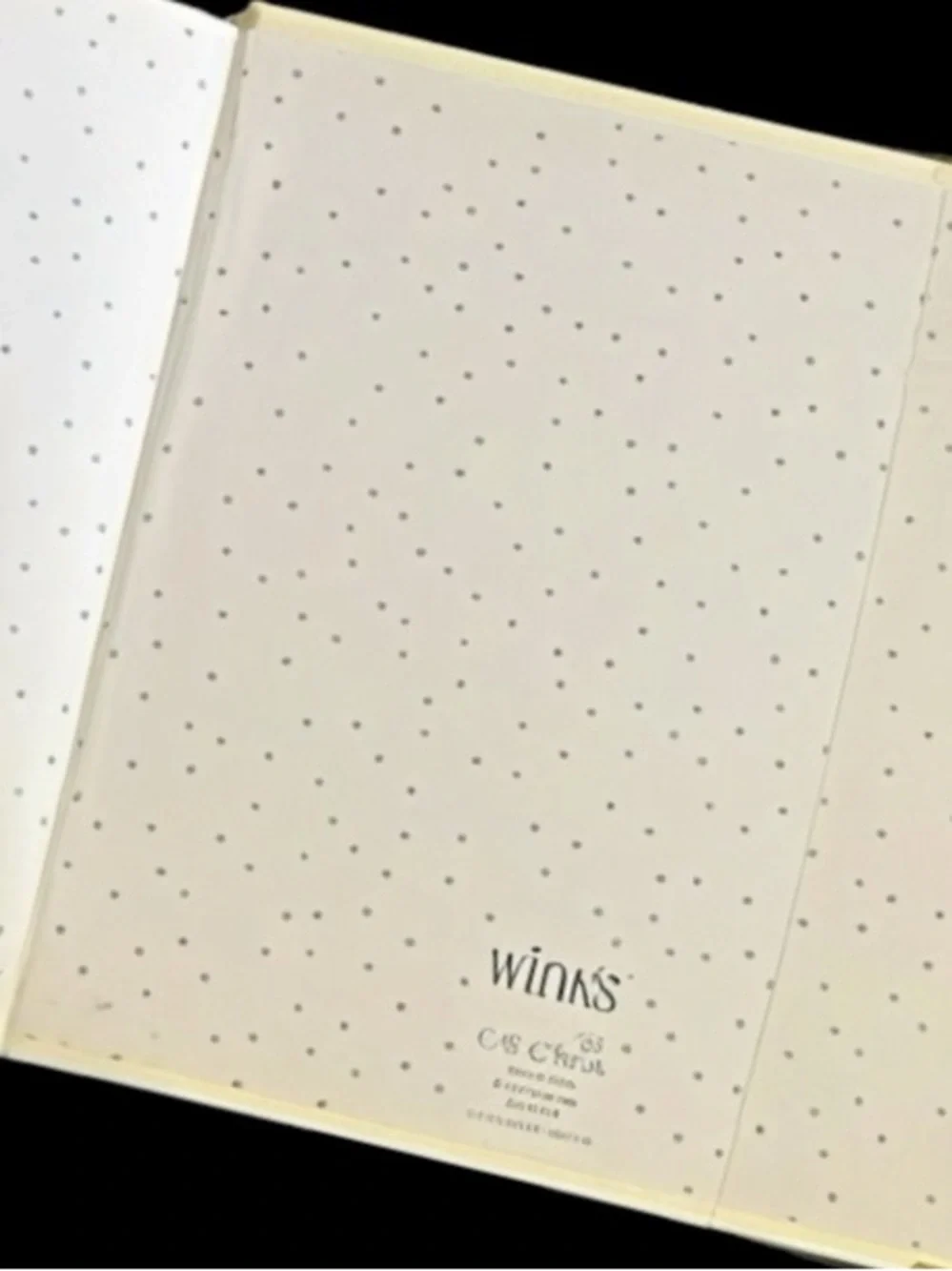 Winks Guest Book with Gold Foil Script 6.5x6.5” by Paper Peony Press